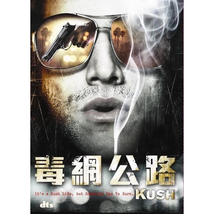 毒網公路 (DVD)