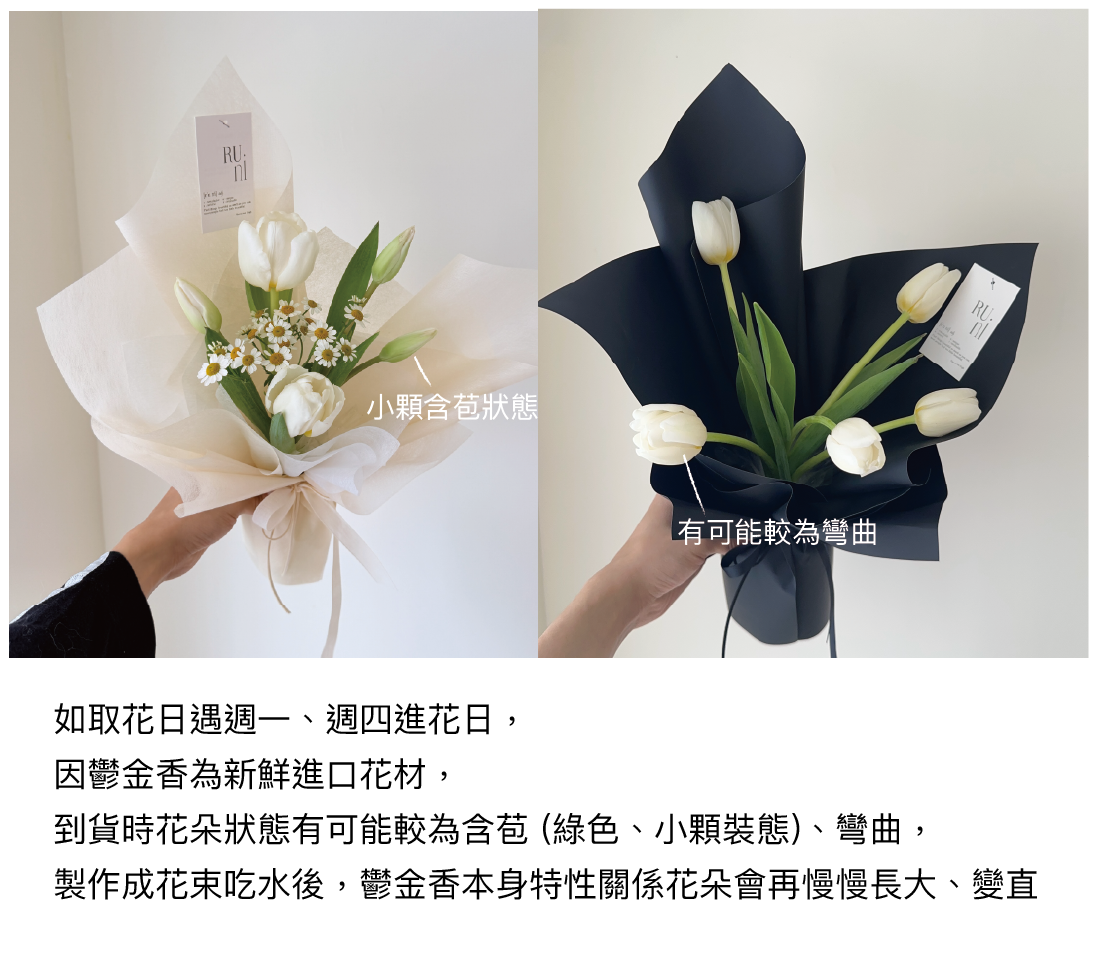輕粉晨曦-5支款白粉鬱金香花束