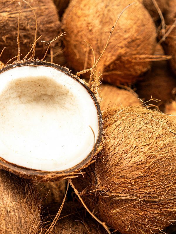 Coconut