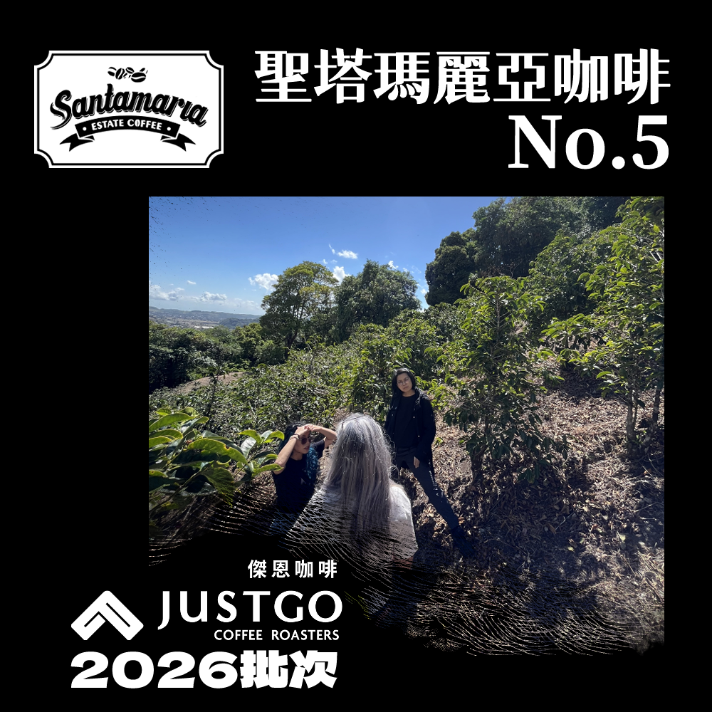 [生豆] 巴拿馬 聖塔瑪麗亞咖啡 No.5 瑰夏 [日曬]