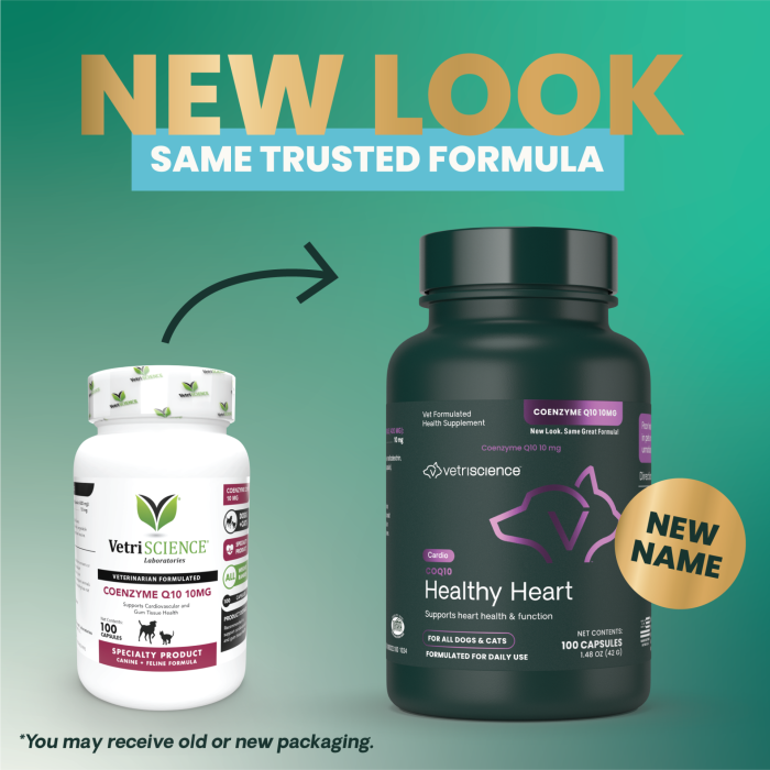 VetriScience - 貓狗通用心臟支援保健品 Q10 護心輔酶素 10mg Q10 Healthy Heart (100粒膠囊)