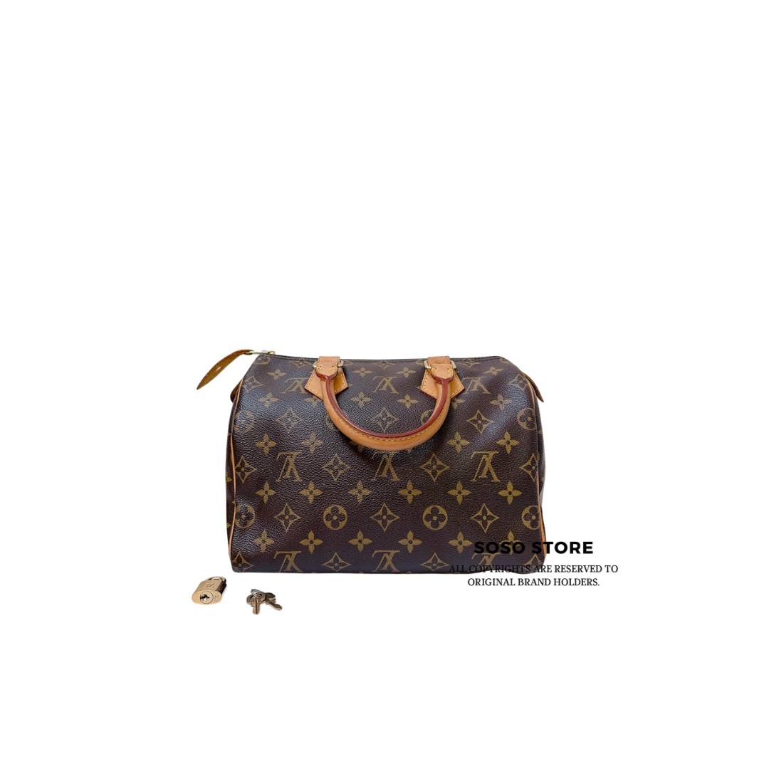 Louis Vuitton Speedy 25 - Monogram / GHW