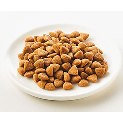 Kattovit 康特維 – 貓用處方乾糧 - (腎臟) Renal Meal 1.25kg