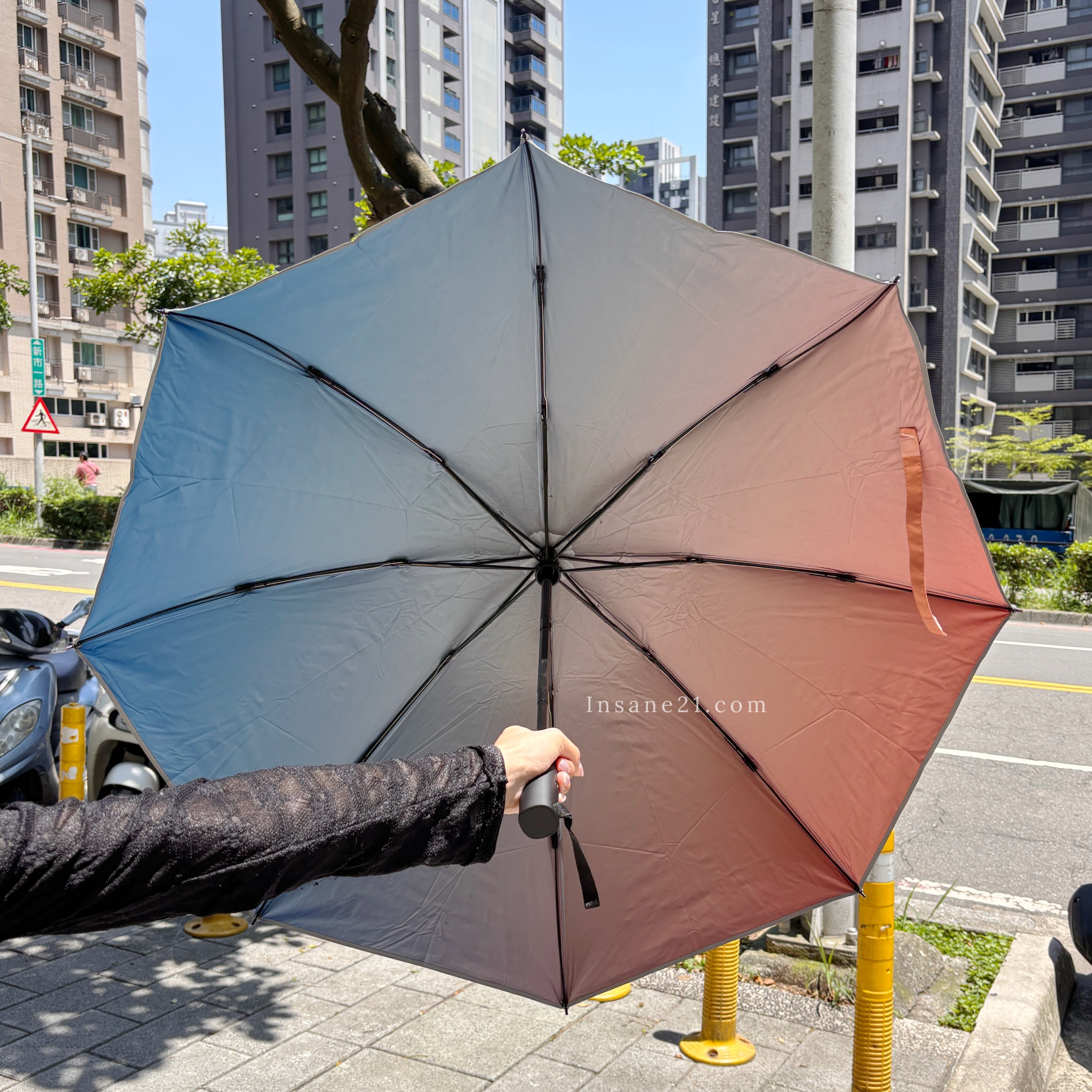 ADIDAS ORIGINALS 三葉草 折疊傘 陽傘 雨傘 自動傘 藍