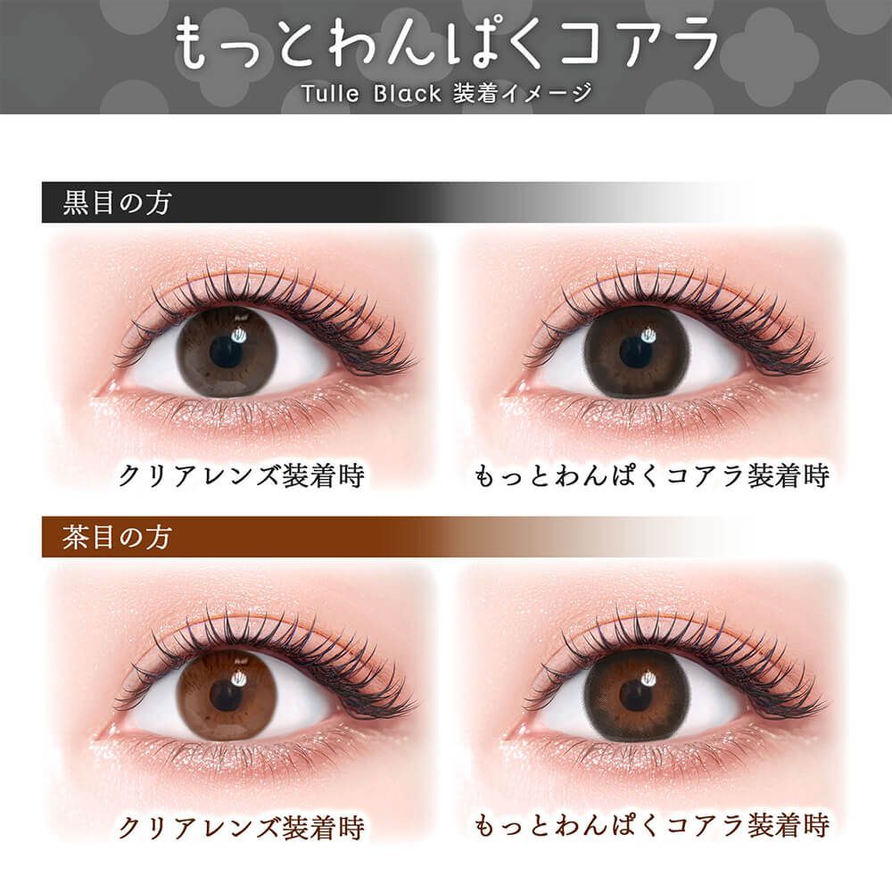 Flurry Monthly (Tulle Black) (3P)