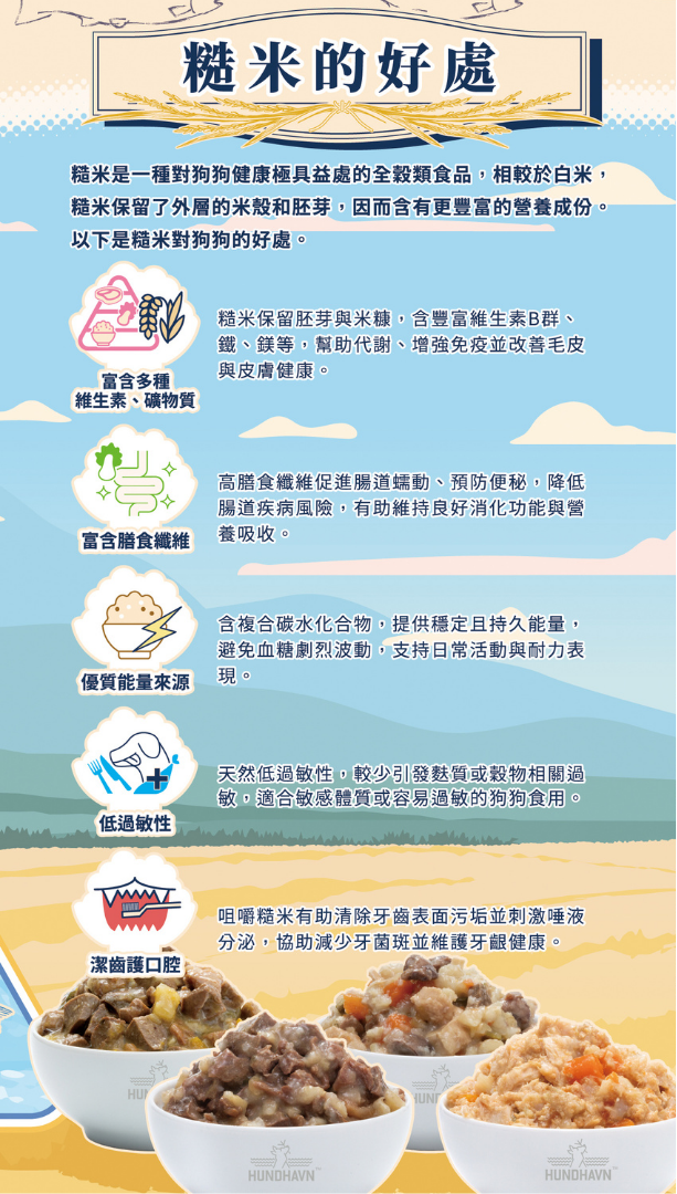 【HUNDHAVN】均衡鮮營狗主食罐 156g (全4款) | 符合AAFCO標準 全齡犬天然狗罐頭