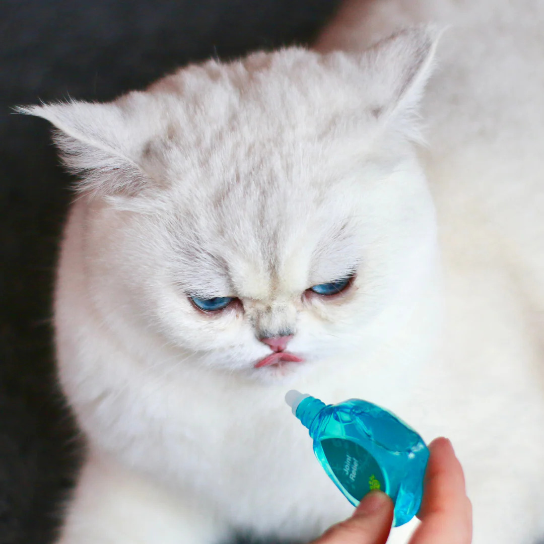Aphro Paws 關節舒緩補充口服滴劑