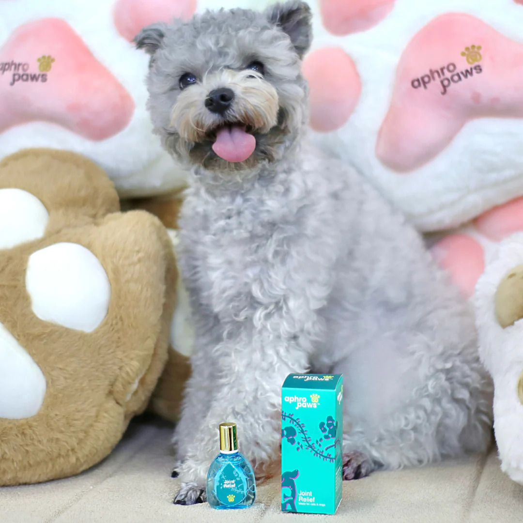 Aphro Paws 關節舒緩補充口服滴劑