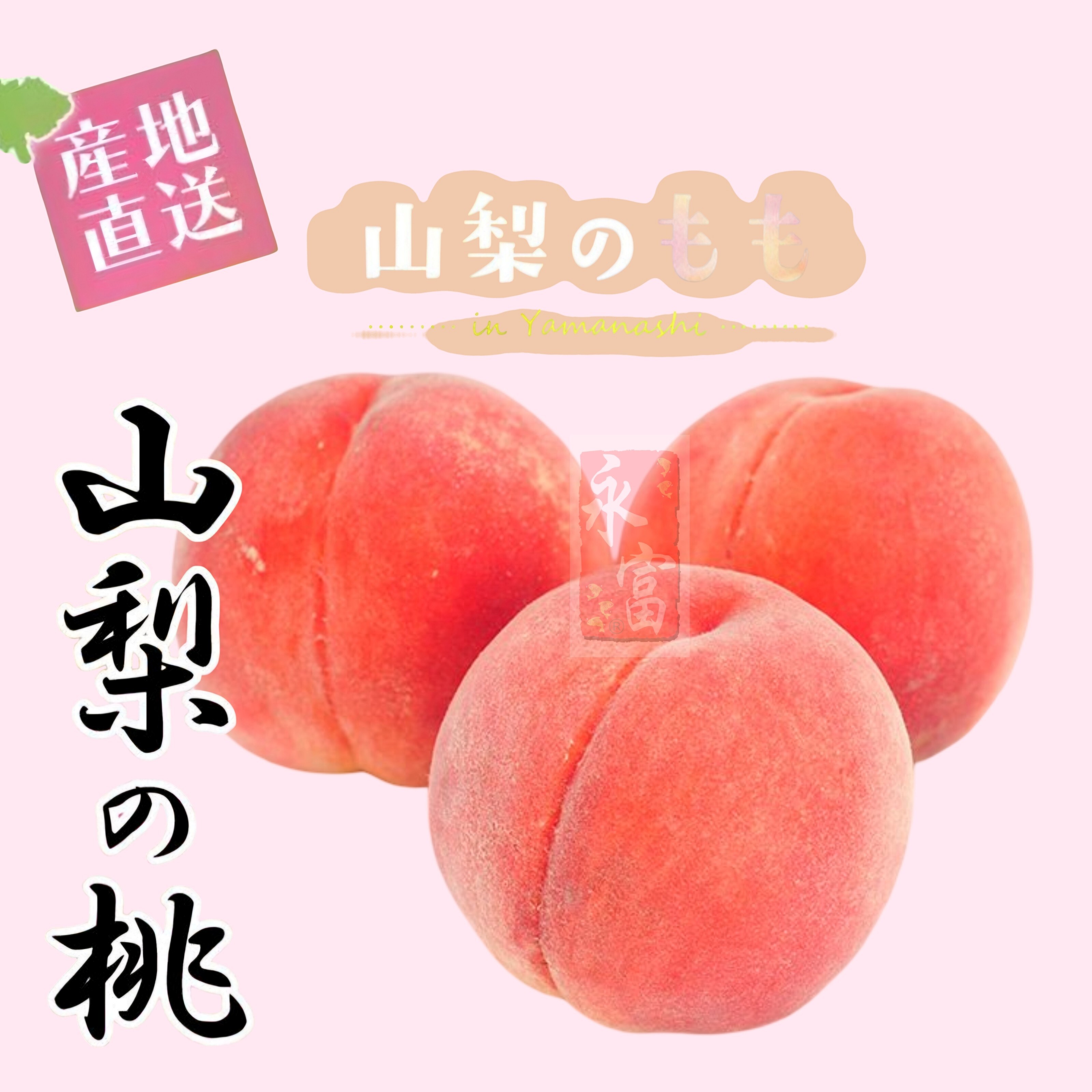 日本山梨縣白鳳桃(2個)