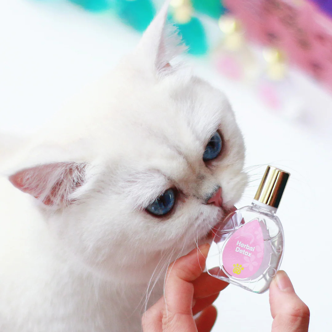 Aphro Paws 草本排毒補充口服滴劑 15ml