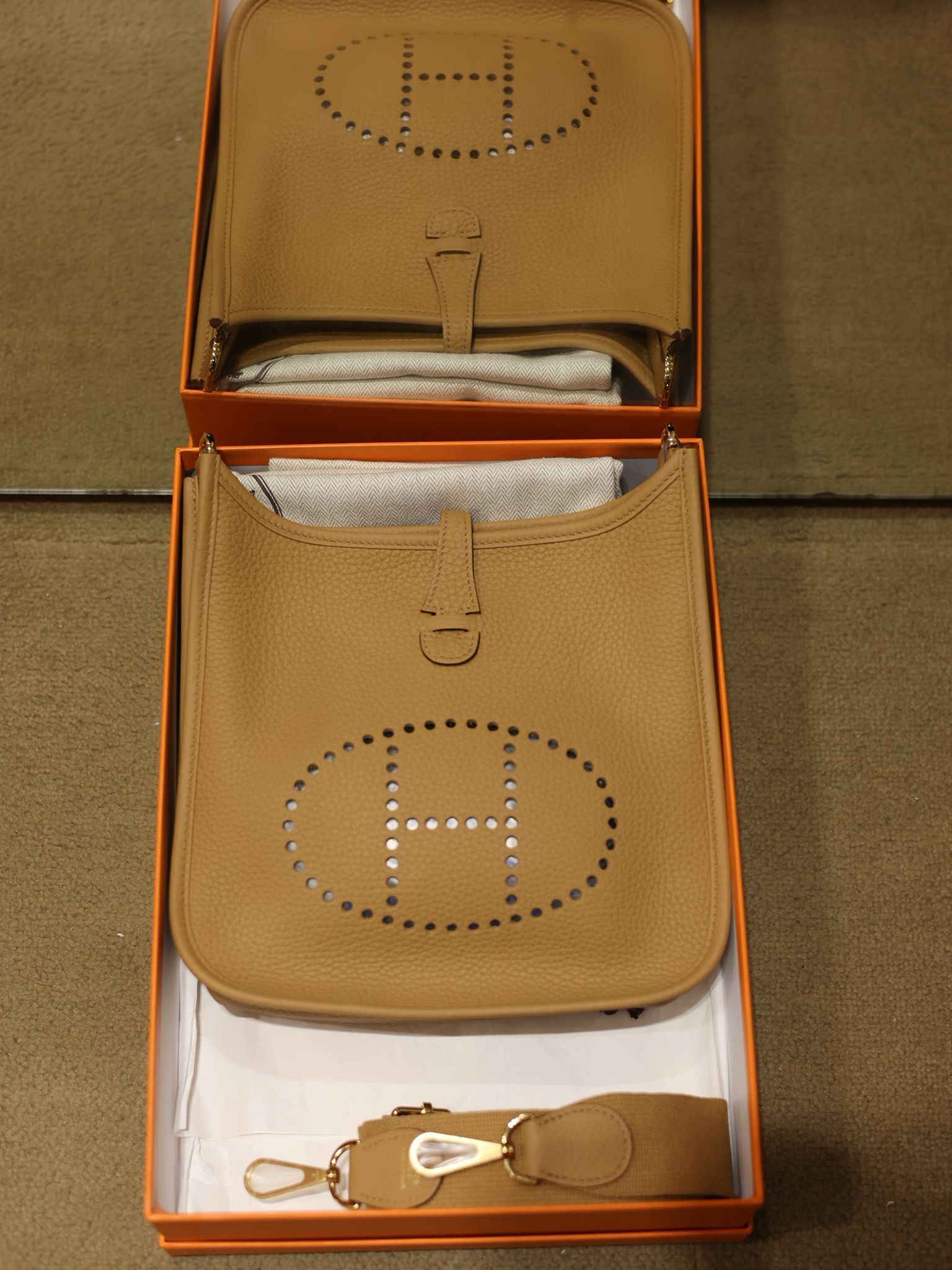 Evelyne 23 4B biscuit cc tc K