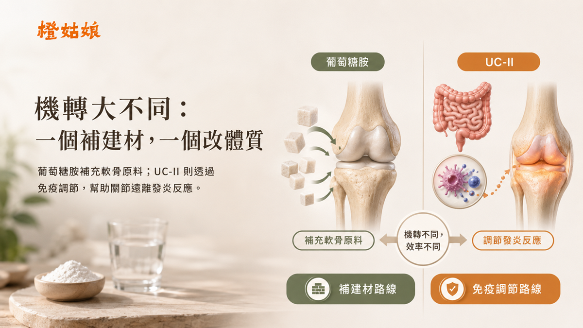 UC-II 葡萄糖胺比較