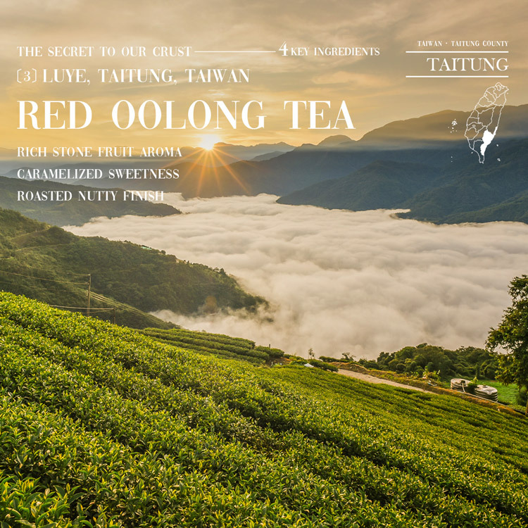 Fumi Roll key ingredient — Red Oolong Tea from Luye, Taitung, Taiwan. Rich stone fruit aroma, caramelized sweetness, and roasted nutty finish, sourced from one of Taiwan's most celebrated high-mountain tea regions