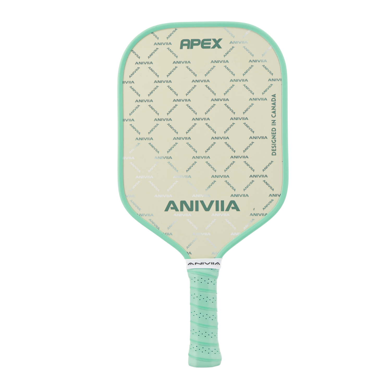 ANIVIIA APEX 匹克球拍  (成長學習拍)