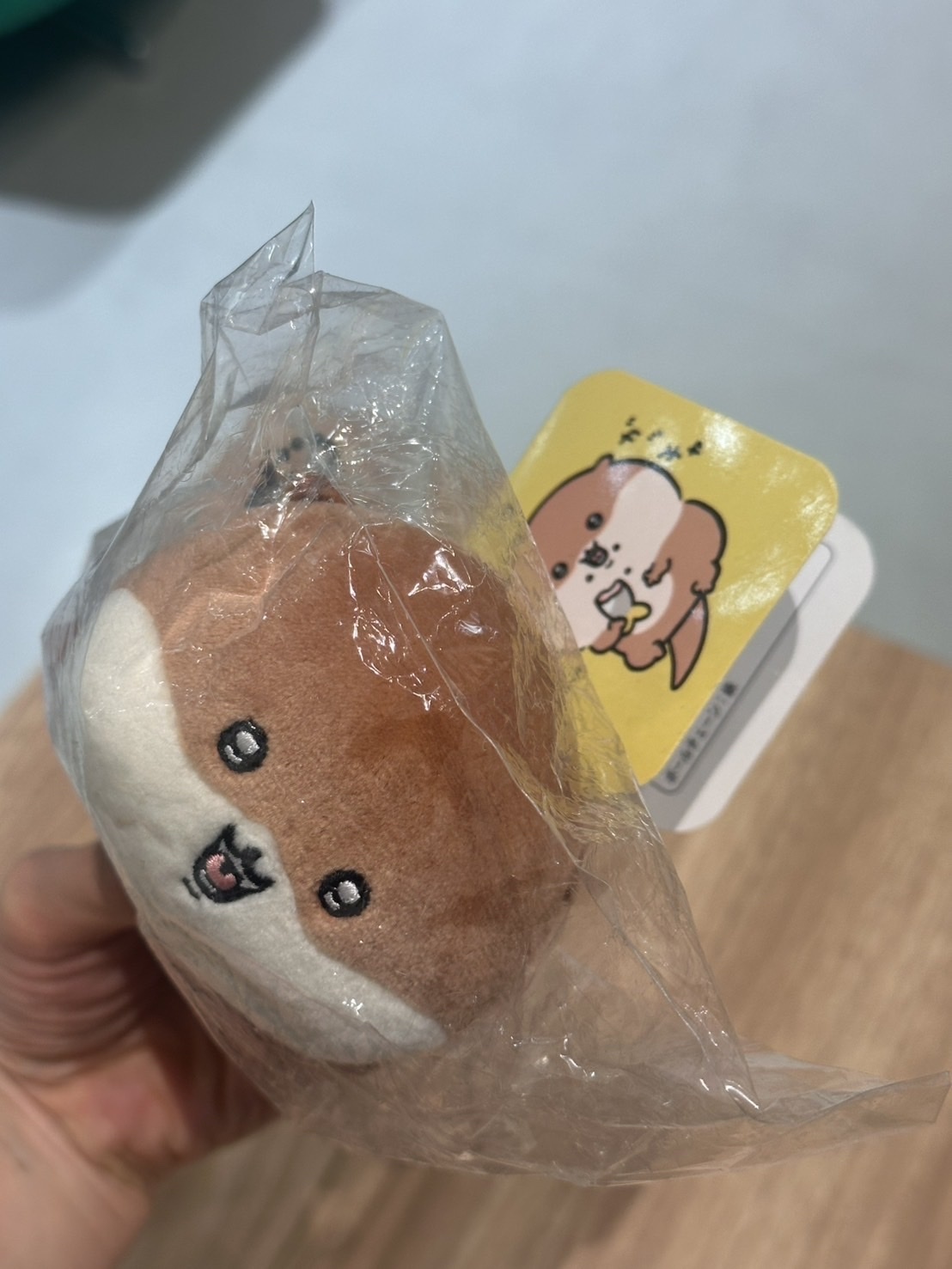 吉伊卡哇 水獺