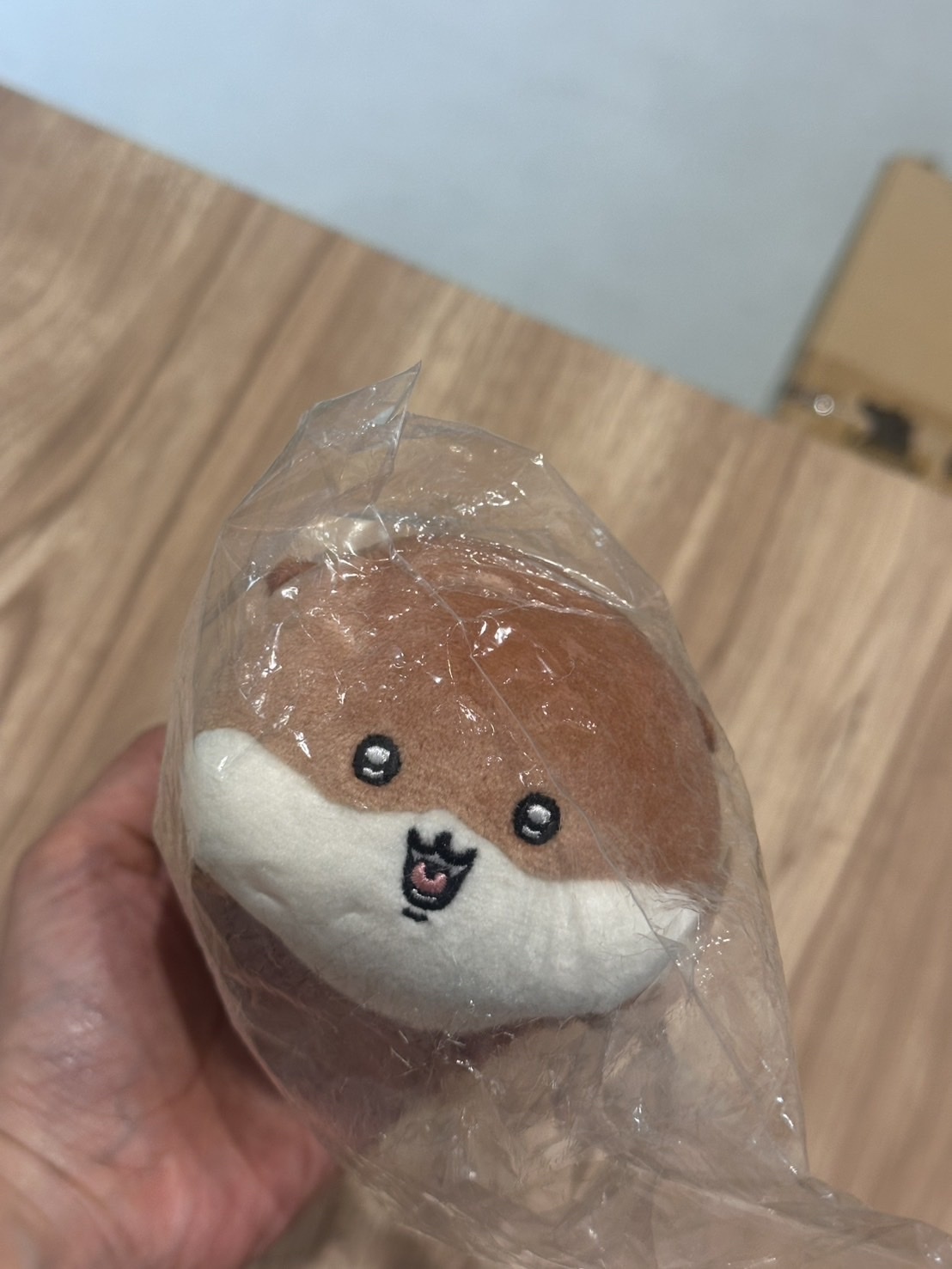 吉伊卡哇 水獺