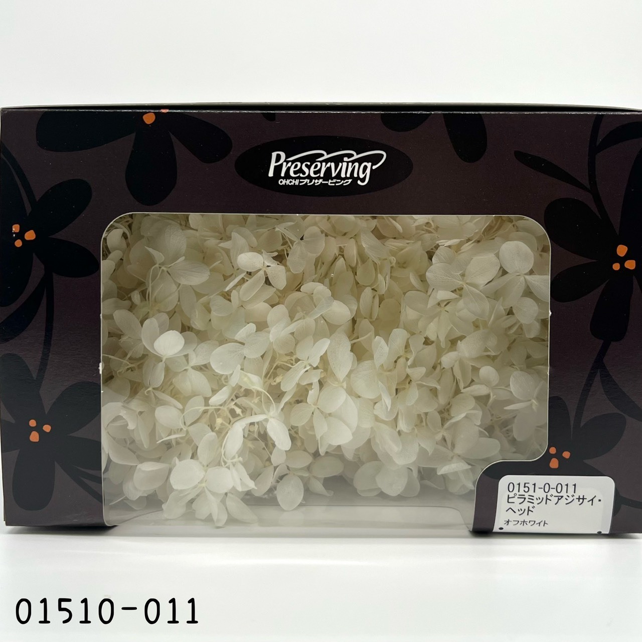 日本不凋中葉繡球 01510-011