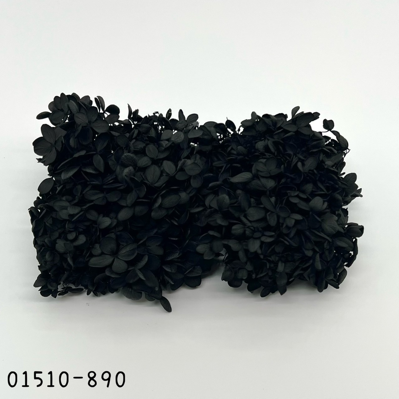日本不凋中葉繡球 01510-890