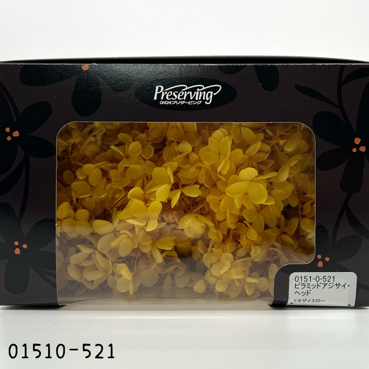 日本不凋中葉繡球 01510-521