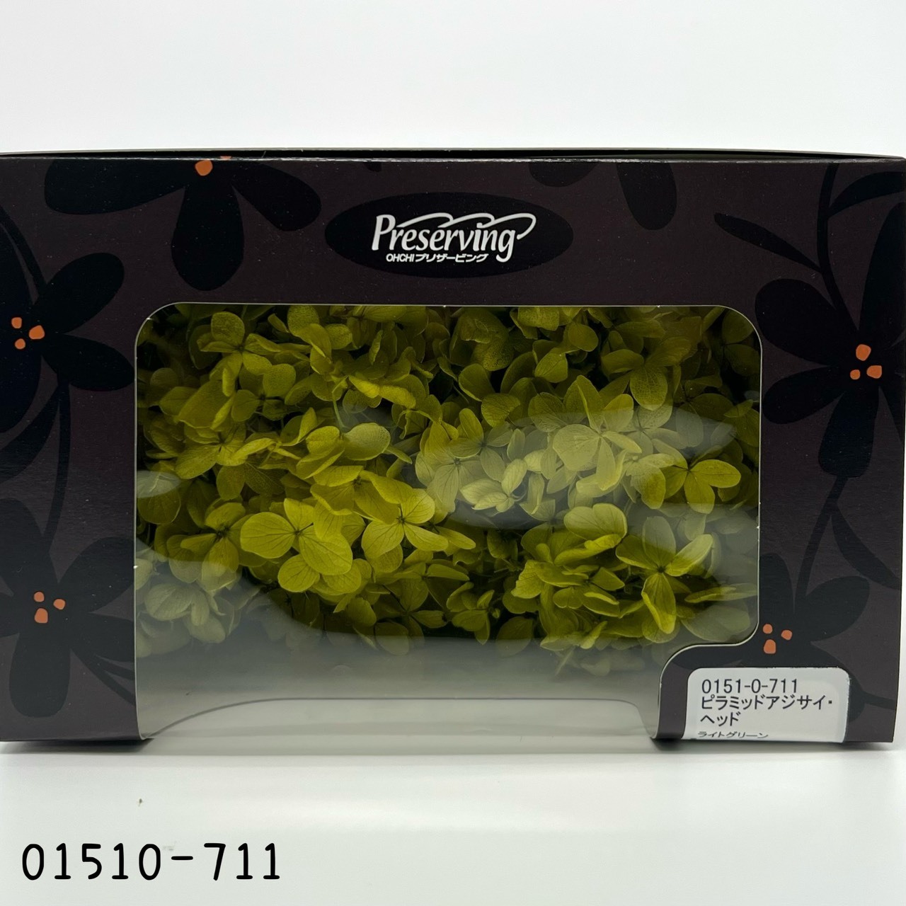 日本不凋中葉繡球 01510-711