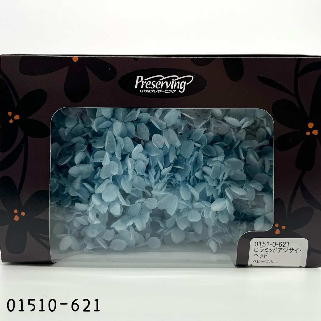 日本不凋中葉繡球 01510-621