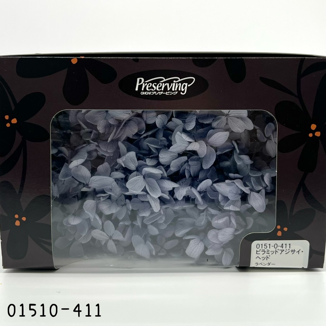 日本不凋中葉繡球 01510-411
