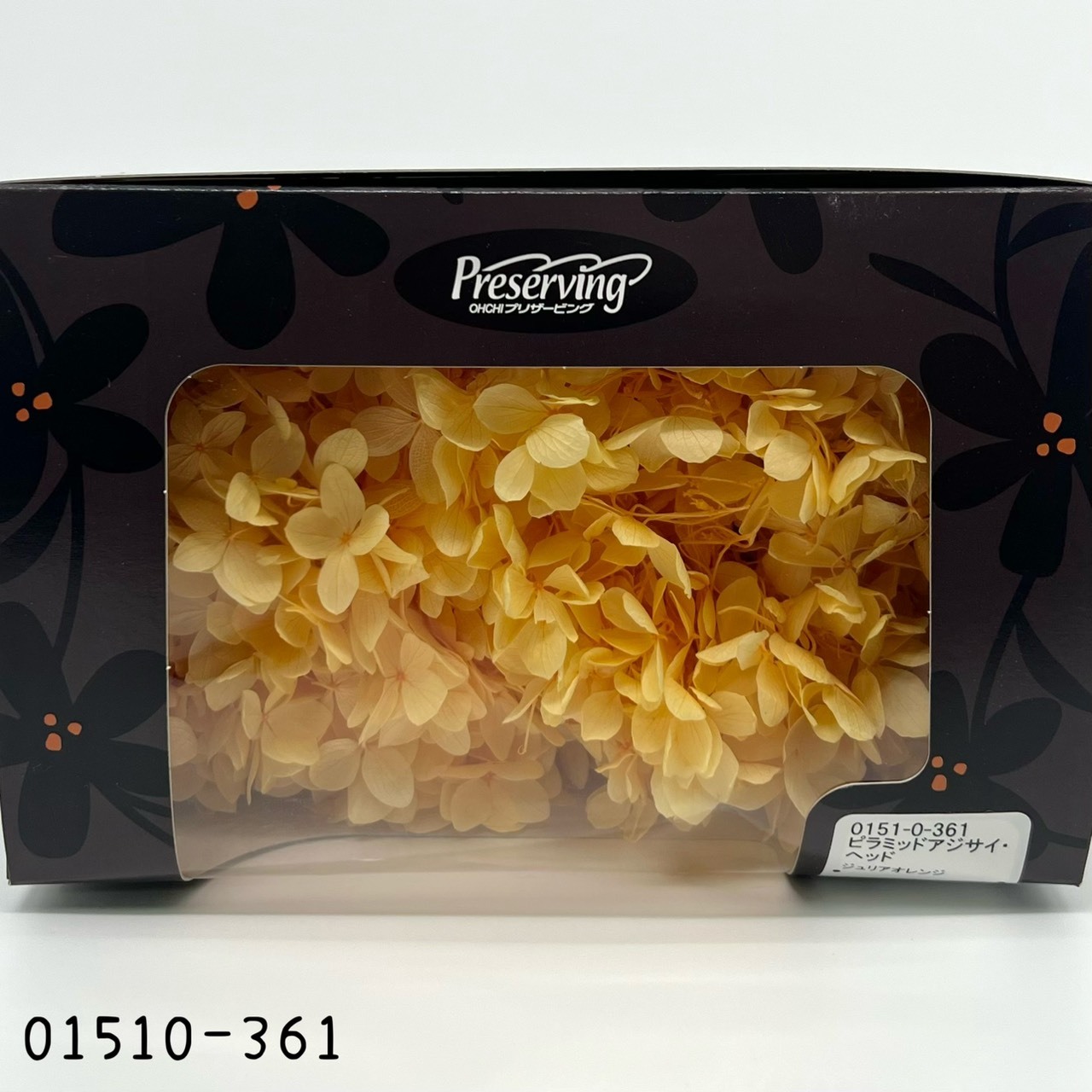 日本不凋中葉繡球 01510-361