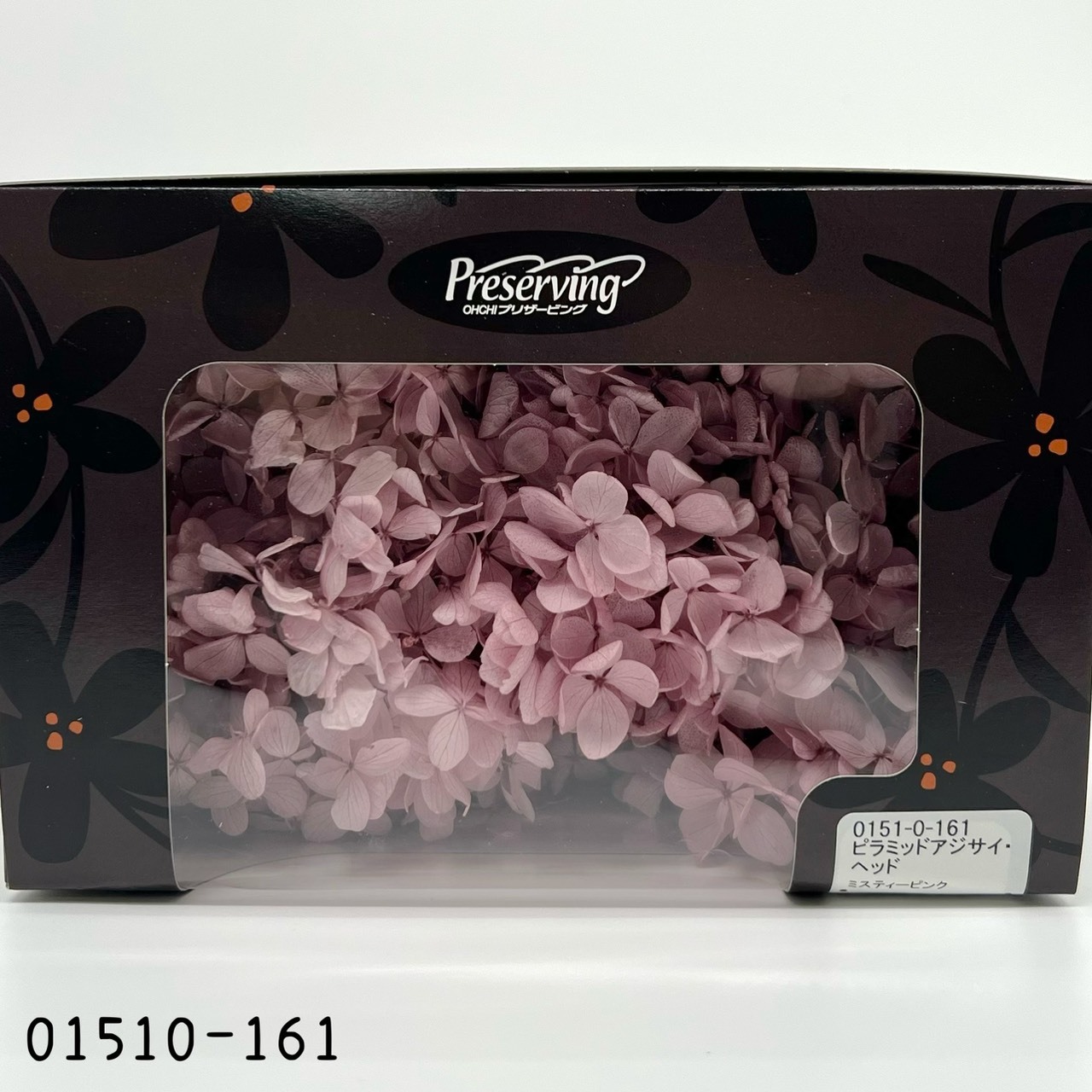 日本不凋中葉繡球 01510-161