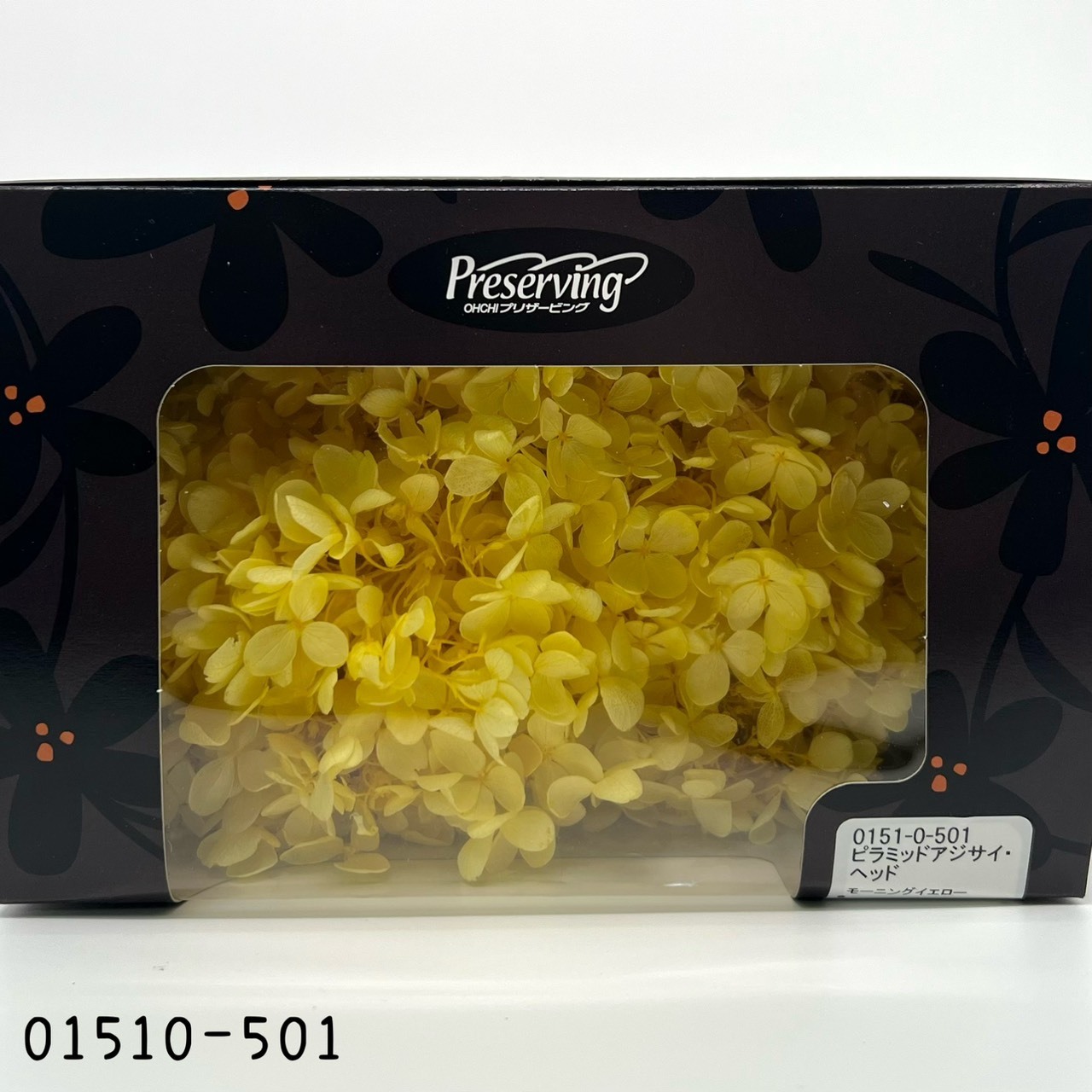 日本不凋中葉繡球 01510-501