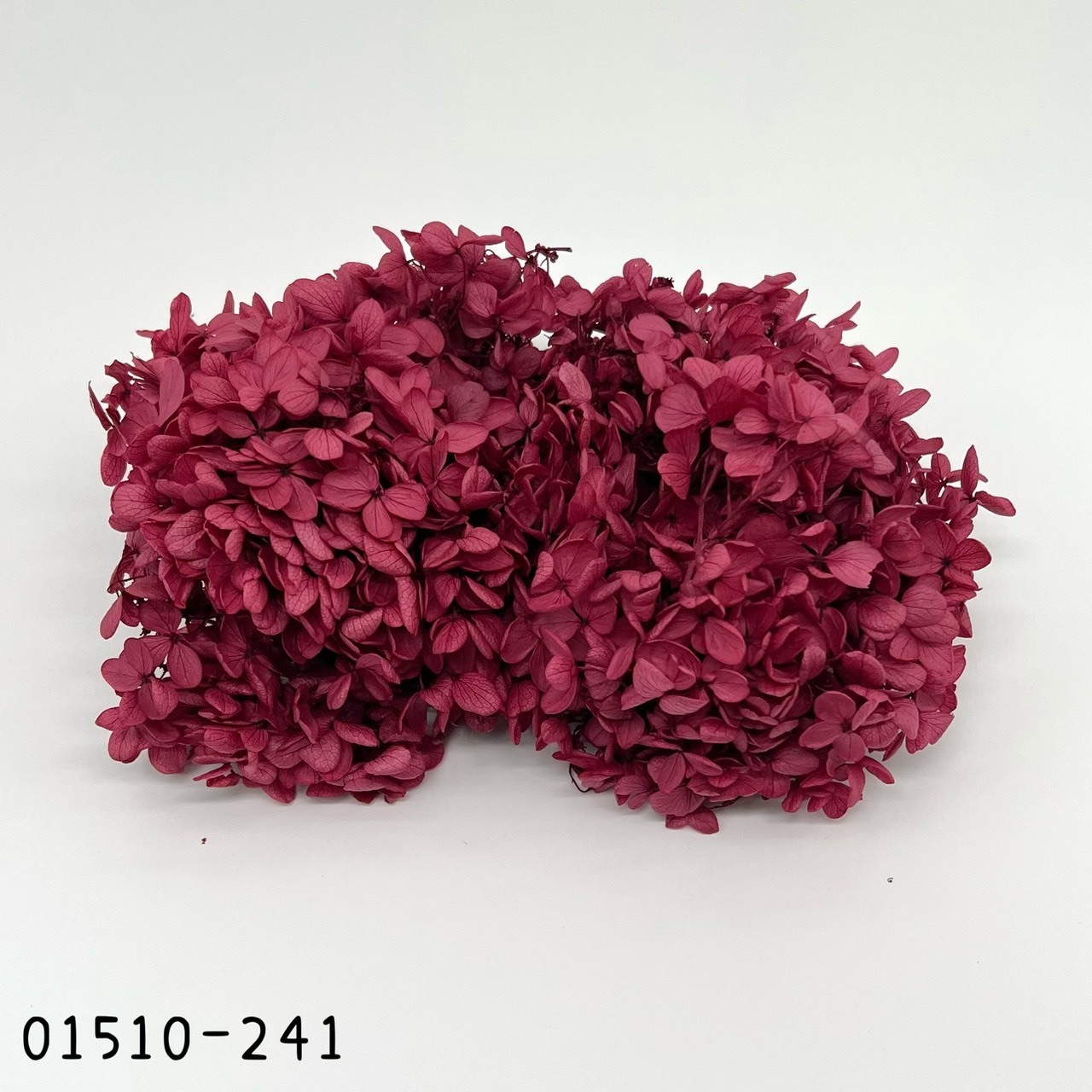 日本不凋中葉繡球 01510-241