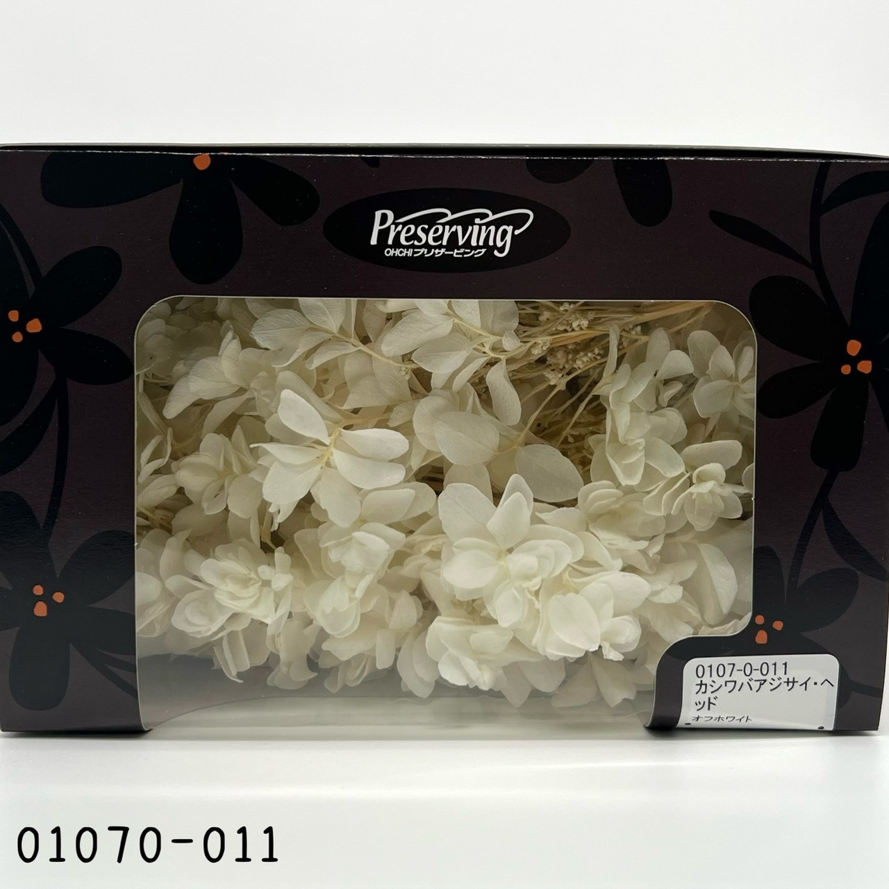Snow Flake Hydrangea