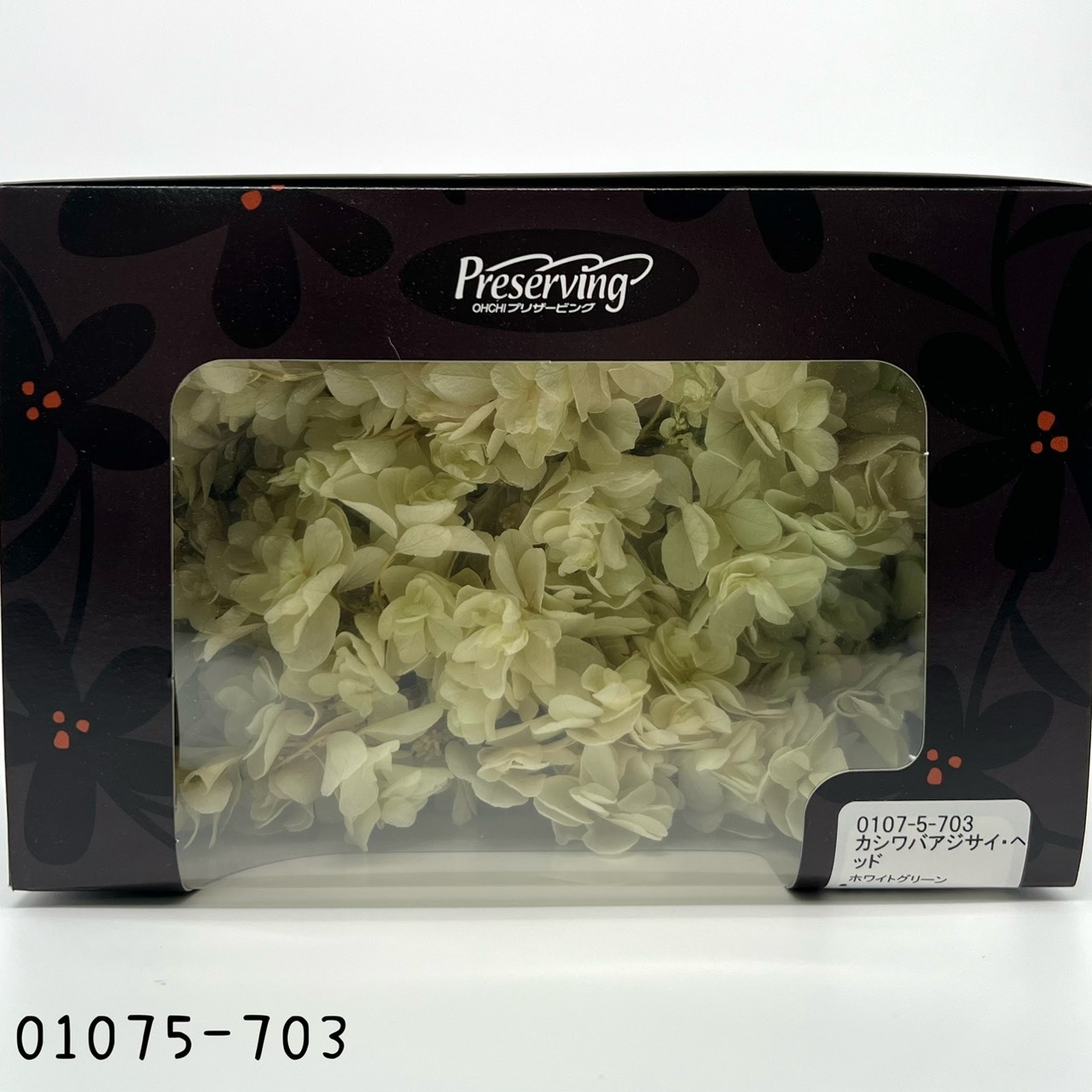 Snow Flake Hydrangea