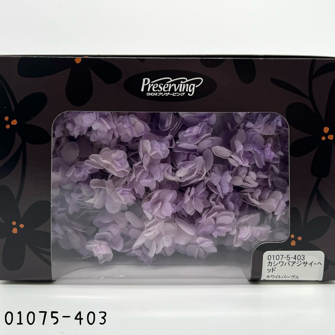 Snow Flake Hydrangea