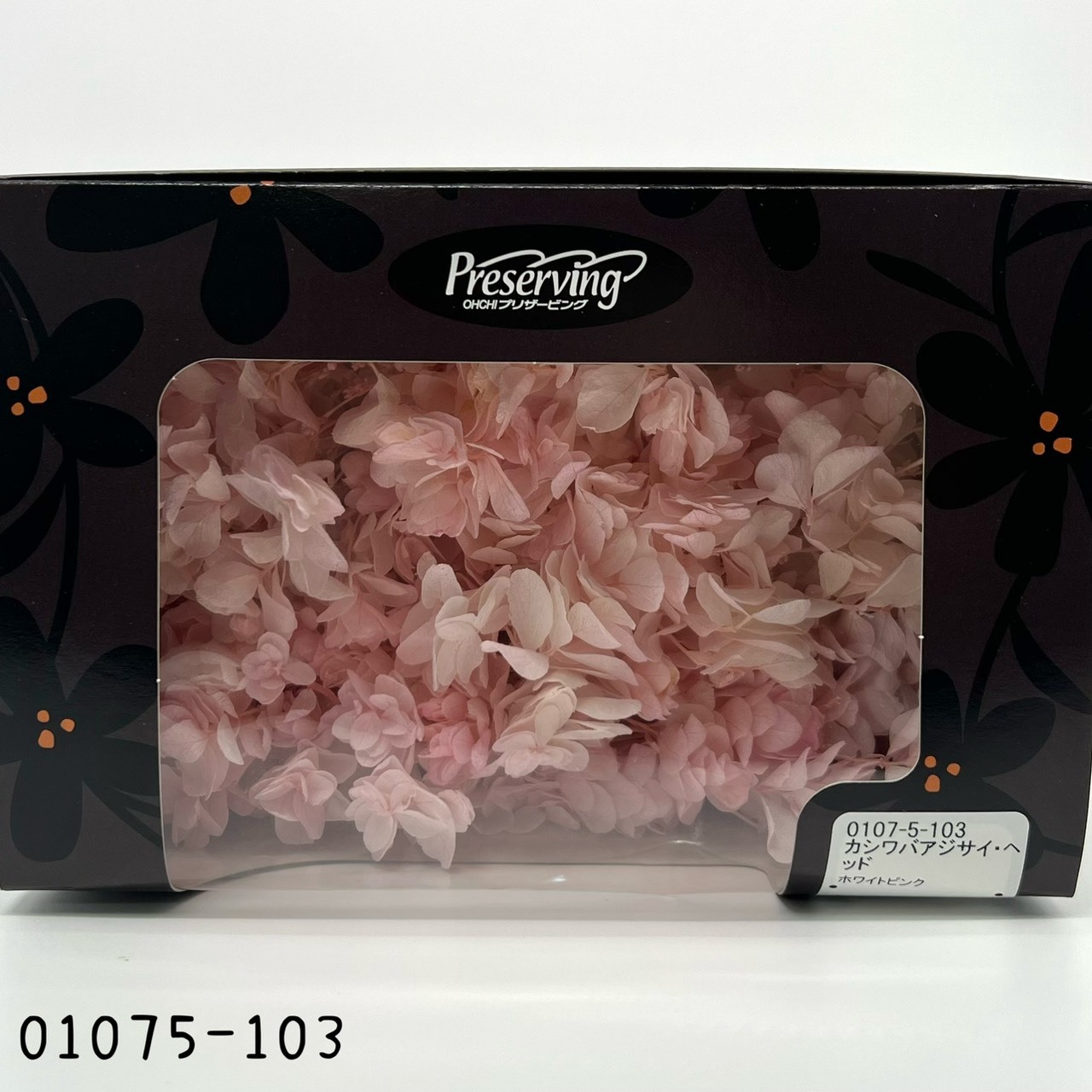 Snow Flake Hydrangea