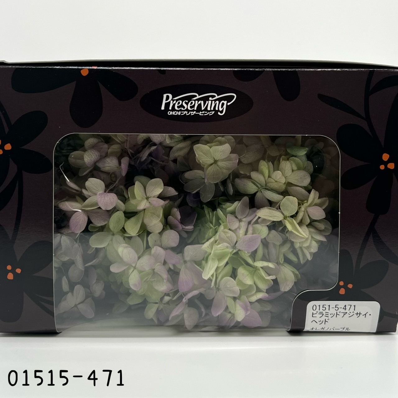 Peegee Hydrangea (Gradation)