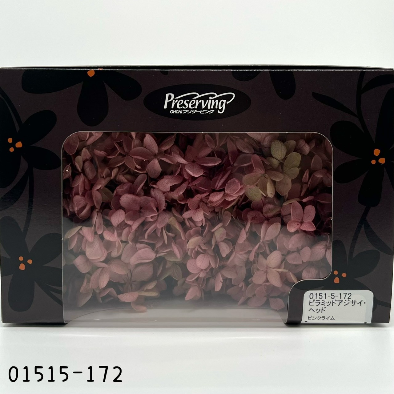 Peegee Hydrangea (Gradation)
