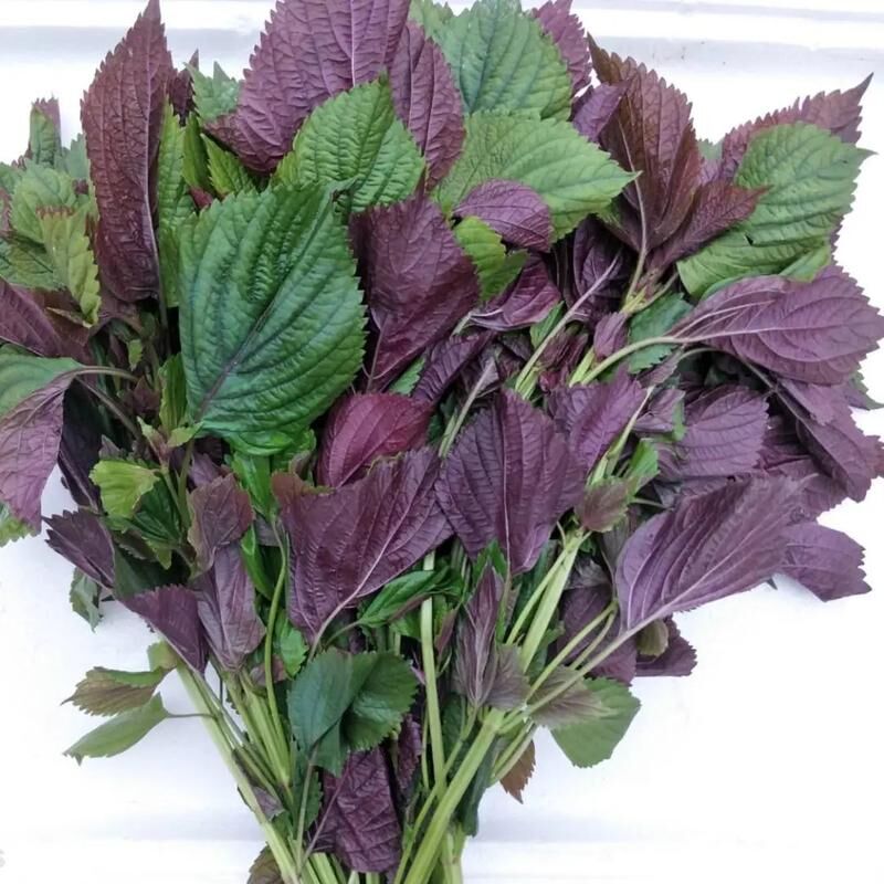 Local Organic Perilla leaf（30g/pack）