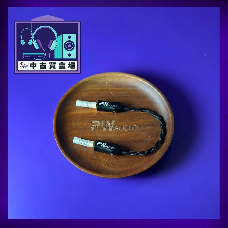 [CHUKO] PW Audio 1960s jumper