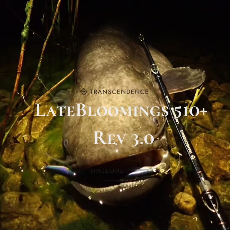 TRANSCENDENCE LateBloomings 510+ Rev 3.0