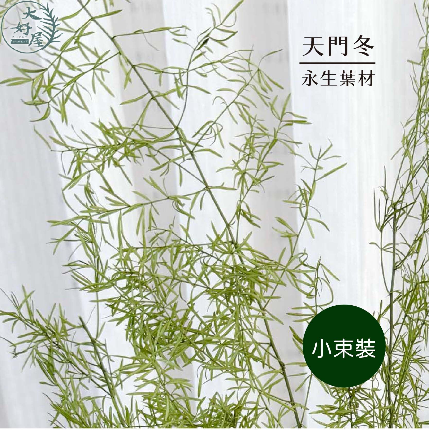 永生天門冬【小束】