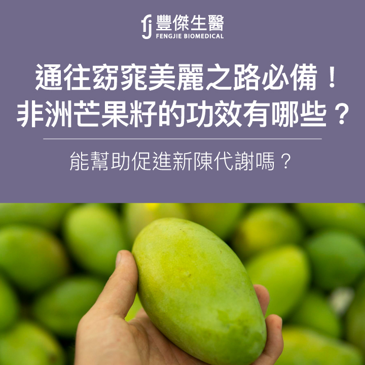 通往窈窕美麗之路必備!非洲芒果籽的功效有哪些?能幫助促進新陳代謝嗎?