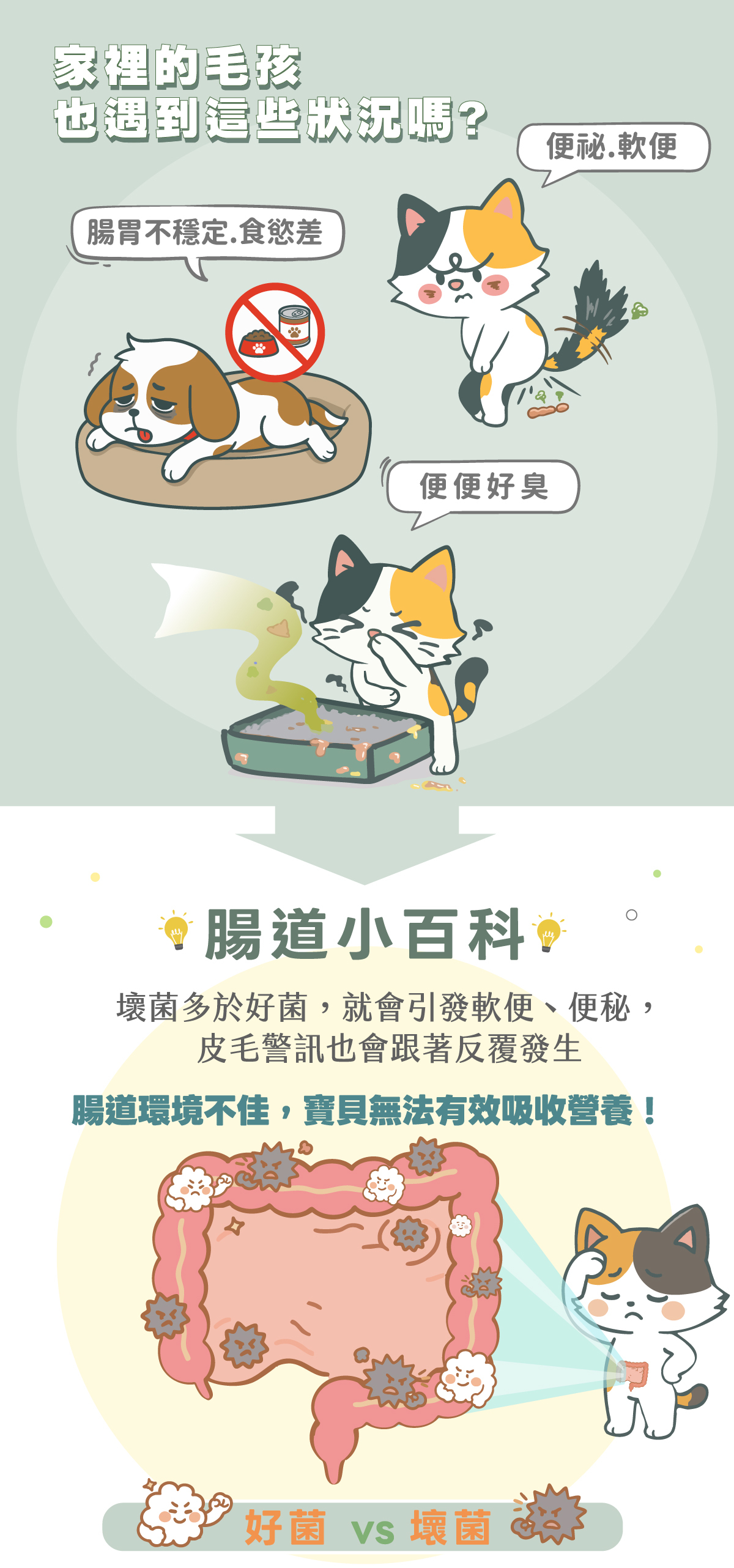 歸毛家族好腸寶寵物益生菌:針對毛孩腸胃不穩定、食慾差、便秘、軟便及便便好臭等腸道問題。腸道小百科科普:壞菌多於好菌會引發犬貓腸胃不適,導致寶貝無法有效吸收營養。