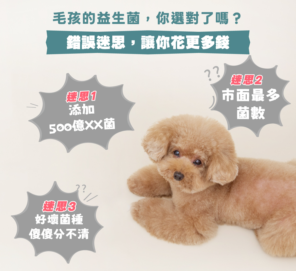 挑選毛孩益生菌的常見錯誤迷思:包含盲目追求添加500億高菌數、市面最多菌數,以及好壞菌種傻傻分不清。歸毛家族帶你破解寵物益生菌挑選陷阱。