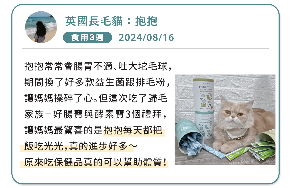 歸毛家族好腸寶與酵素寶評價見證:英國長毛貓抱抱食用 3 週心得。改善貓咪腸胃不適、吐大坨毛球問題,換過多款益生菌與排毛粉無感,改吃歸毛家族後每天把飯吃光光、有效幫助體質。