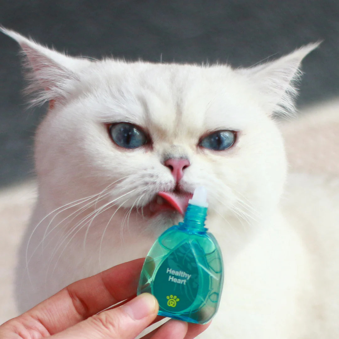 Aphro Paws 健康心臟補充口服滴劑