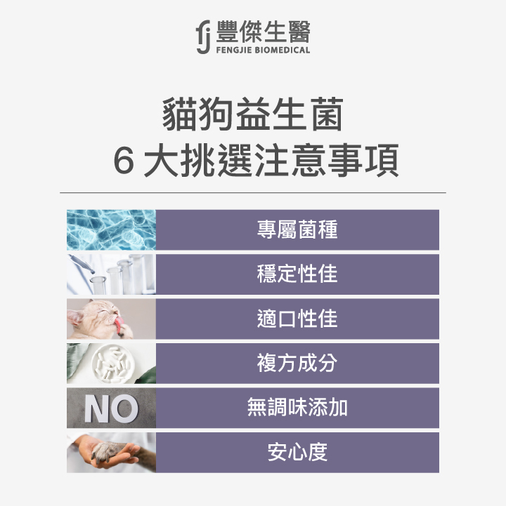 貓狗益生菌怎麼挑?6大挑選注意事項告訴你