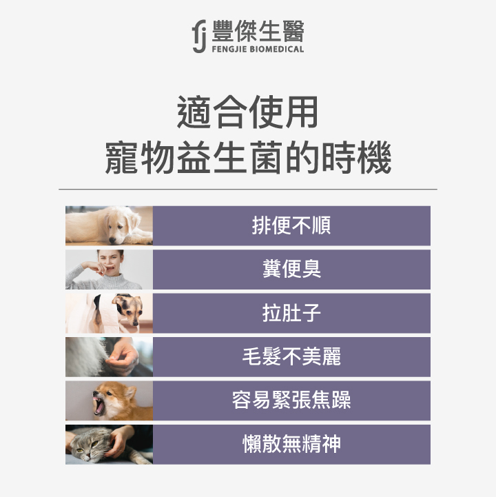 什麼狀況需要讓毛孩吃益生菌?