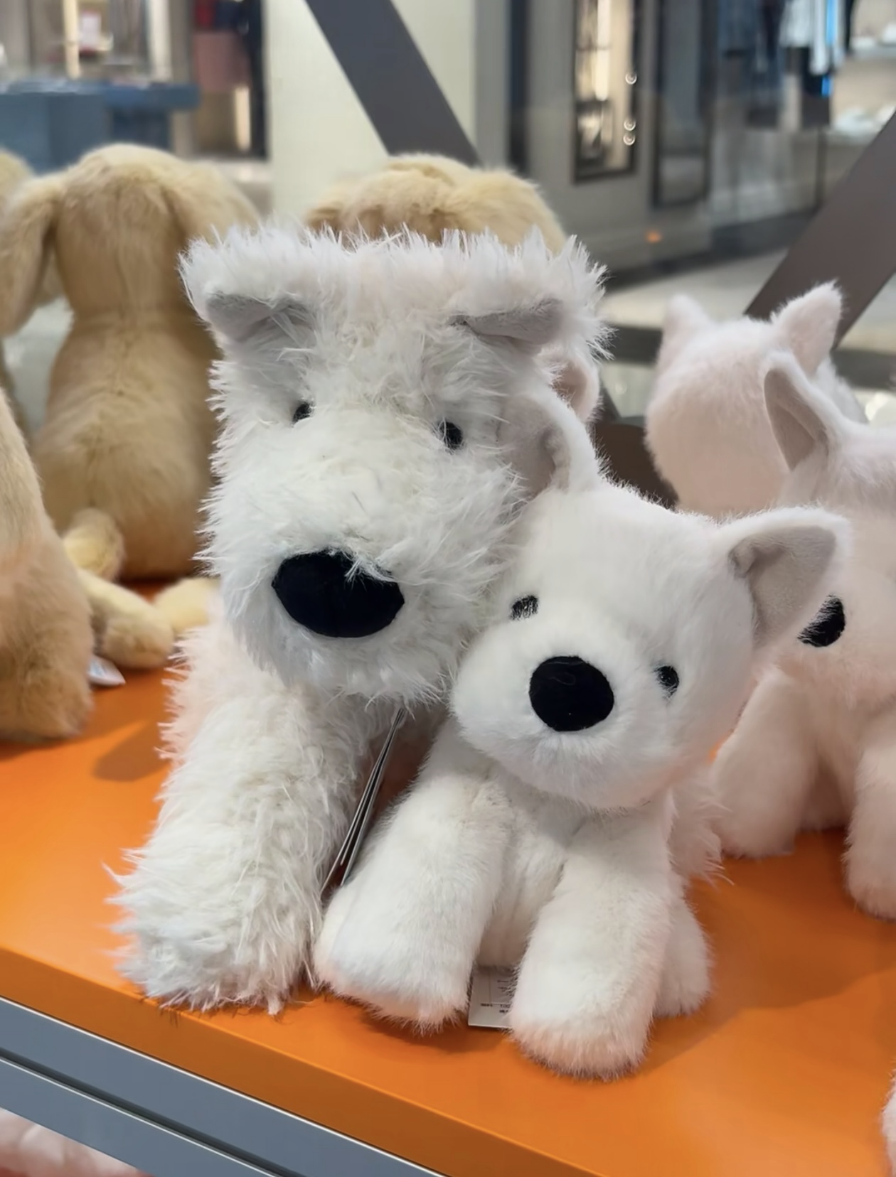 Jellycat 西高地幼犬 15cm