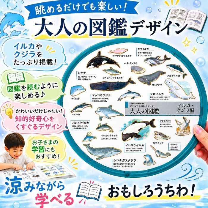 大人的圖鑑 圓形摺扇 攜帶型圓扇子｜日本KAMIO JAPAN