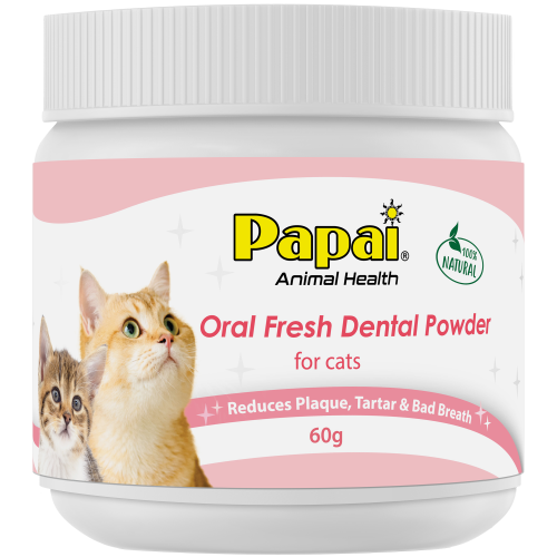 Papai - 海藻深層潔牙粉 - 三文魚味 (粉紅) 60g (貓用)